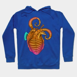 Caballito corazon Hoodie